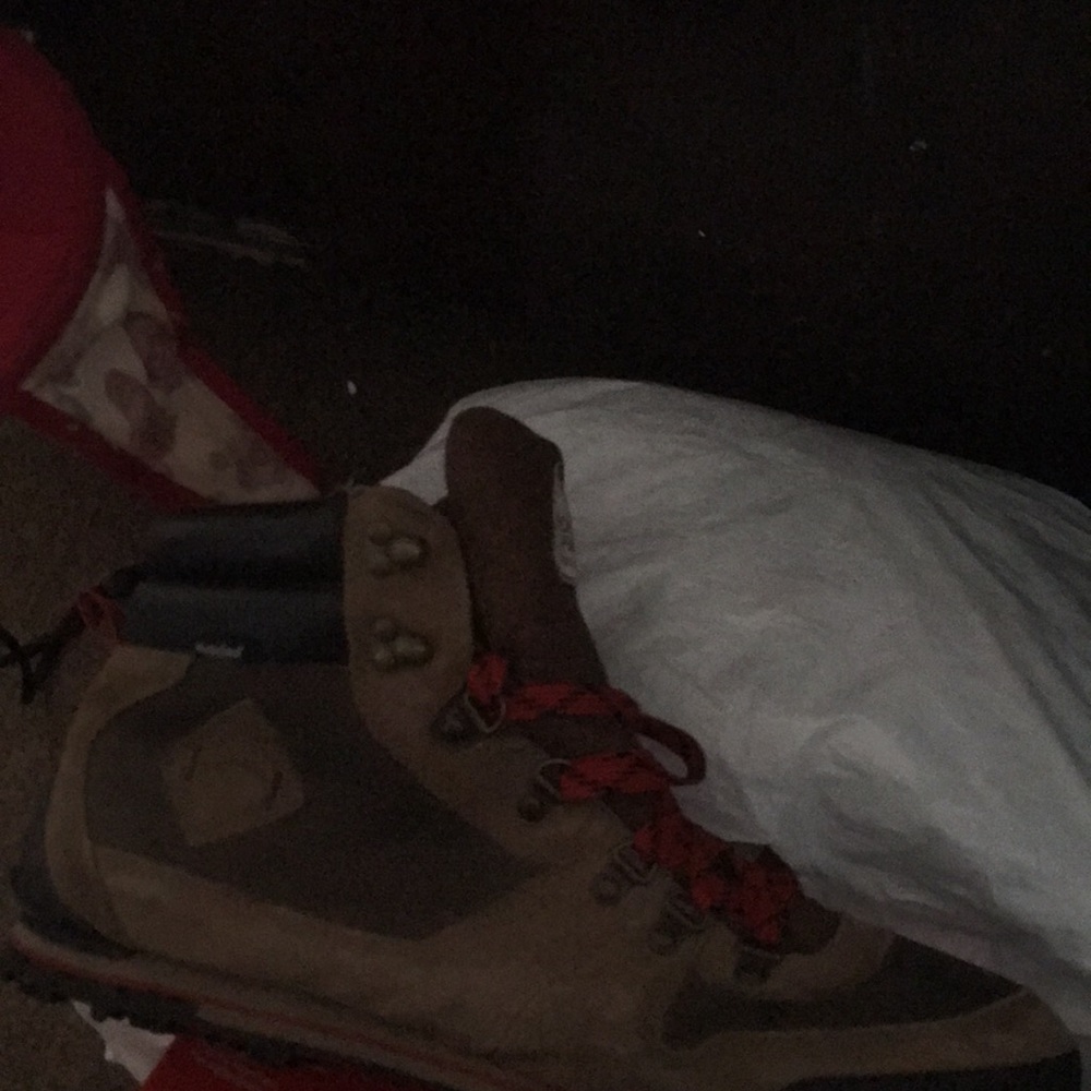 North face hiking boots
